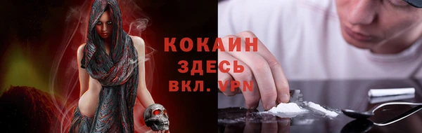 прущие крисы Верея