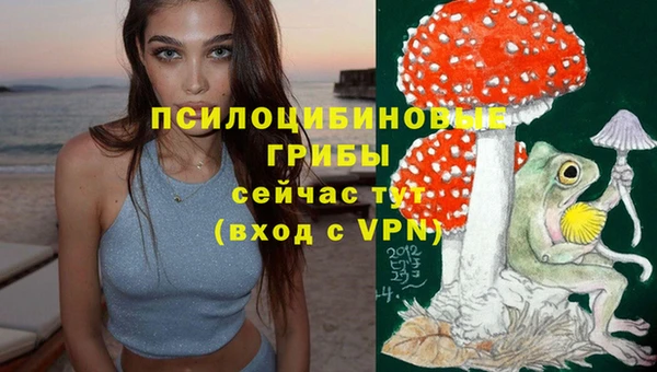синтетический гашиш Верхний Тагил
