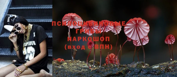 спиды Бородино